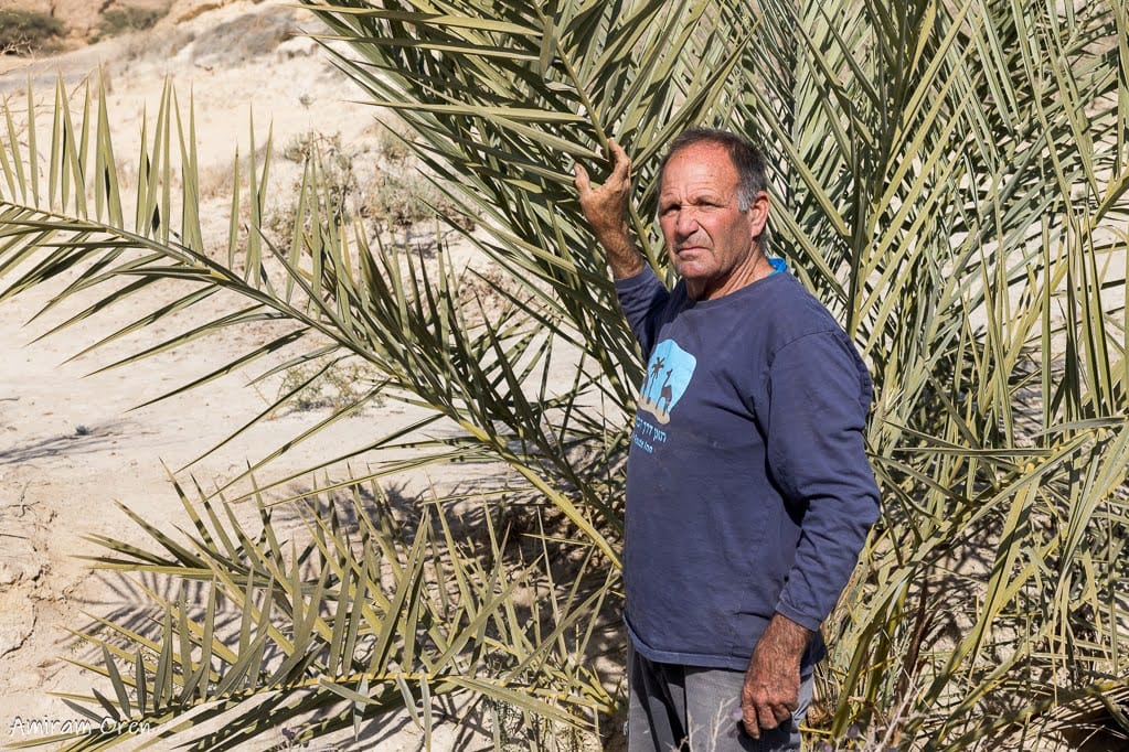 שלושים שנה להסכם השלום עם ירדן